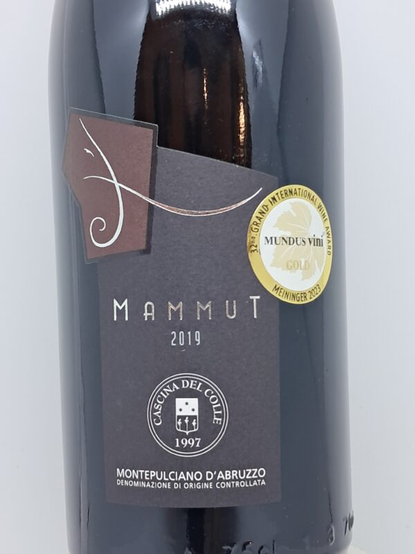 Mammut Cascina del Colle - immagine 2
