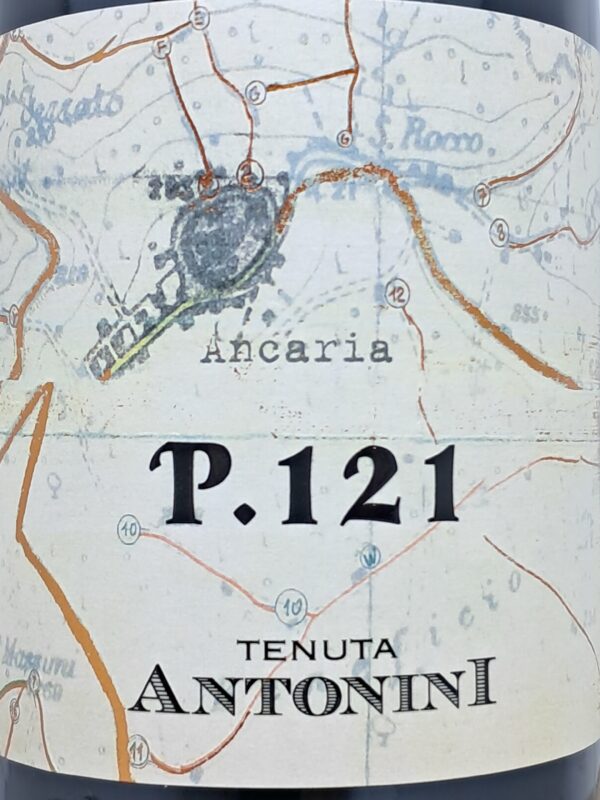 P.121 Tenuta Antonini - immagine 2