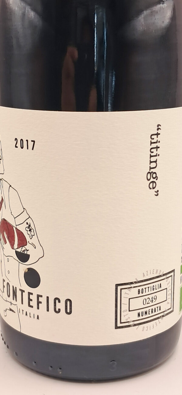 Titinge Montepulciano D'Abruzzo Fontefico - immagine 2