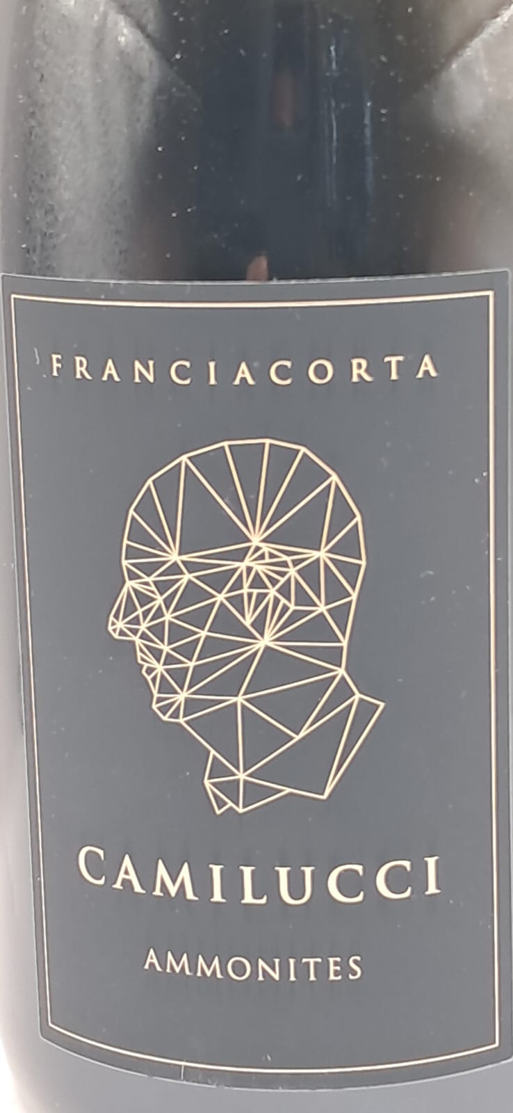Franciacorta Camilucci Galleria 1