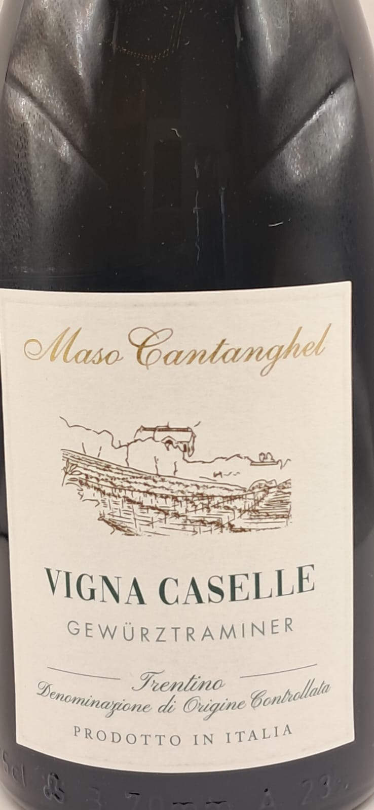 Gewurztraminer Vigna Caselle Galleria 1