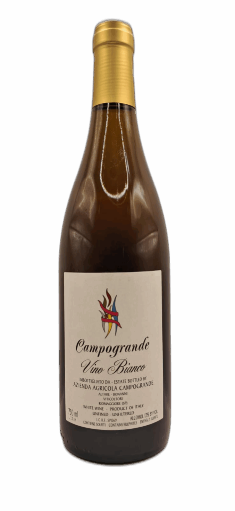 Elio Altare Vino Bianco